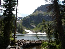 rockies 026